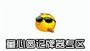 童心圆记牌器专区