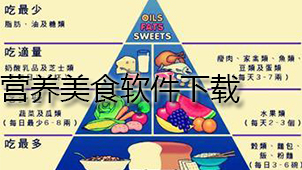 营养美食下载