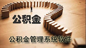 公积金管理系统软件
