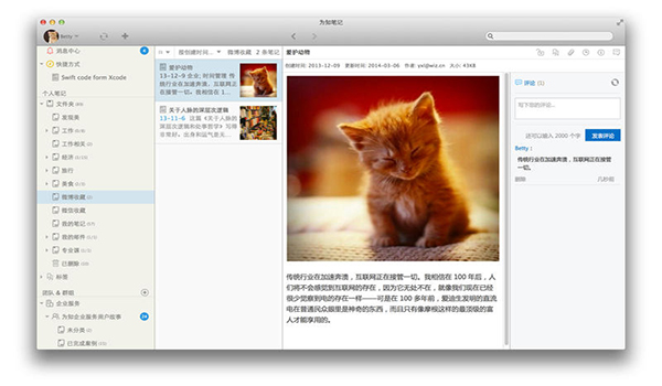 为知笔记 For Mac