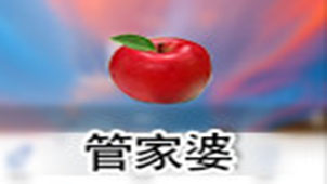 管家婆辉煌专题