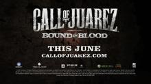 牛仔侠盗（Call Of Juarez）