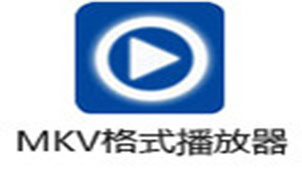 mkv播放器专题