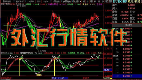 外汇行情软件专题