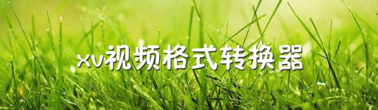 XV格式转换器软件大全