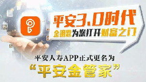 平安金管家专题