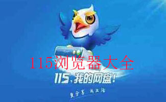 115浏览器大全