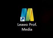 Leawo Prof. Media