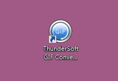 ThunderSoft GIF Converter