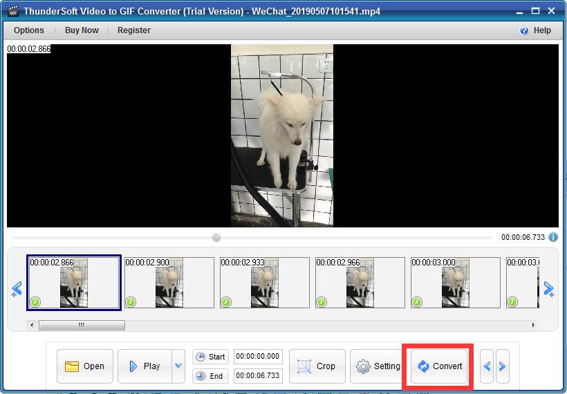 ThunderSoft Video to GIF Converter