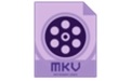 Dimo MKV Video Converter