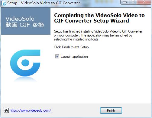 VideoSolo Video to GIF Converter