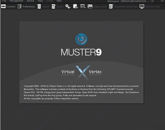 Virtual Vertex Muster