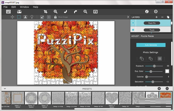 PuzziPix Pro