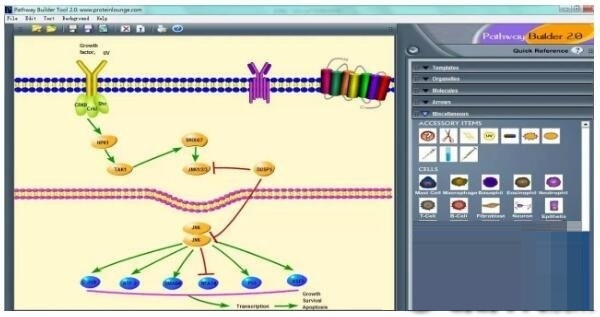 Pathway Builder Tool