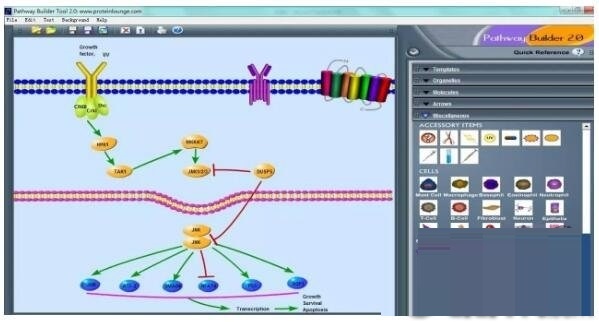 Pathway Builder Tool