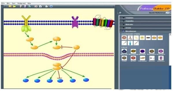 Pathway Builder Tool