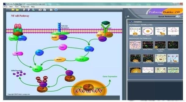 Pathway Builder Tool