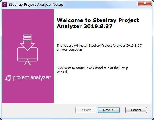 Steelray Project Analyzer