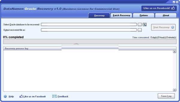 DataNumen Oracle Recovery