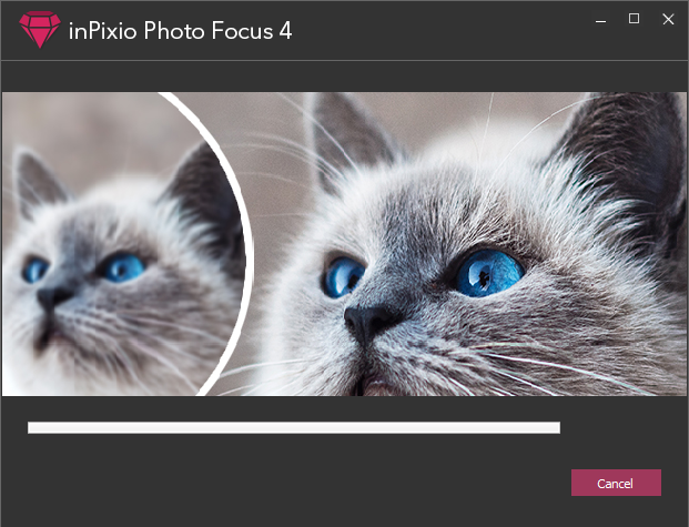 InPixio Photo Focus Pro