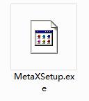 MetaX