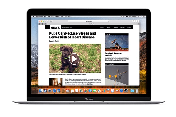 Safari浏览器 for Mac