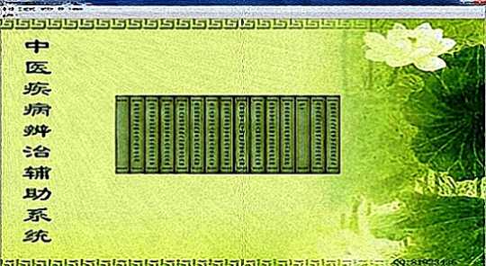 中医疾病辨治(辅助)系统