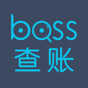 BOSS查账