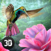 蜂鸟模拟器3D
