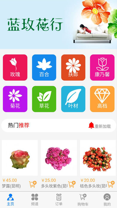 蓝玫花卉