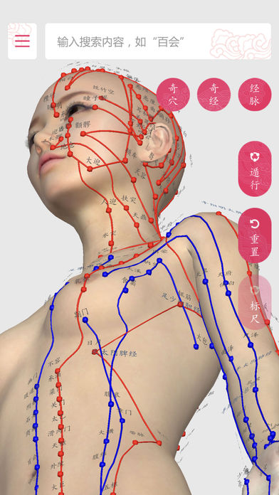 3D小灸灸