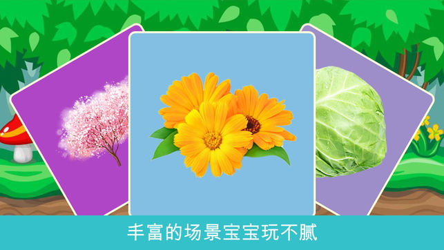 宝宝拼图植物园HD