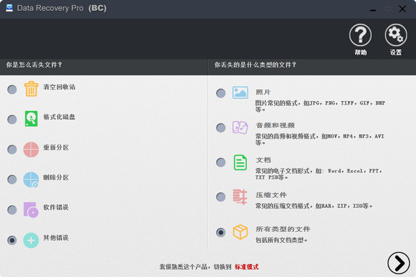 刺梨照片恢复软件Data Recovery Pro(BC)