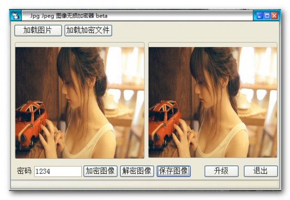 Jpg Jpeg 图像无损加密器