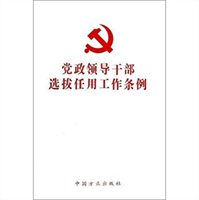 2010年党政领导干部选拔任用工作责任追究办法（试行）