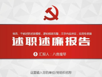 2016年党员干部年度述职报告