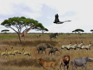 3D Serengeti Safari