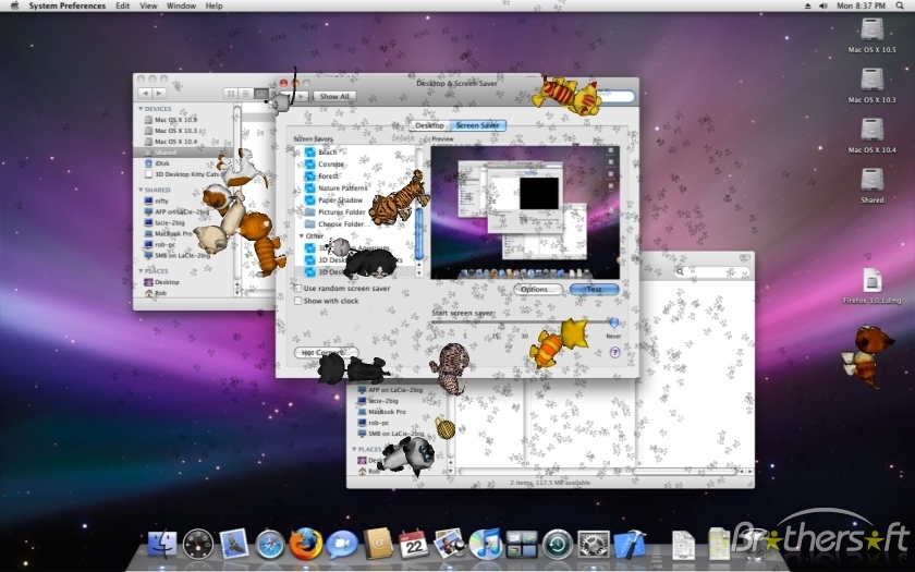 3D Desktop Kitty Cats Screen Saver For Mac