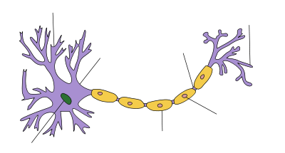 NEURON