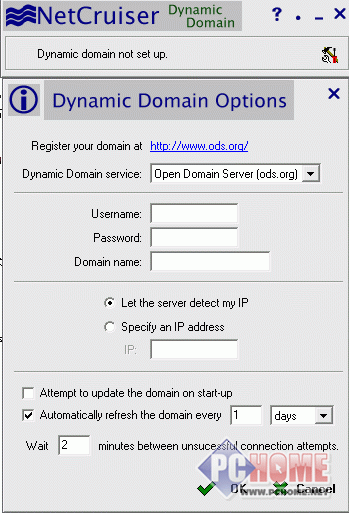 NetCruiser Dynamic Domain
