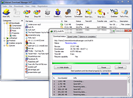 Download Manager