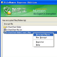 FileNumen Exp for folder lock