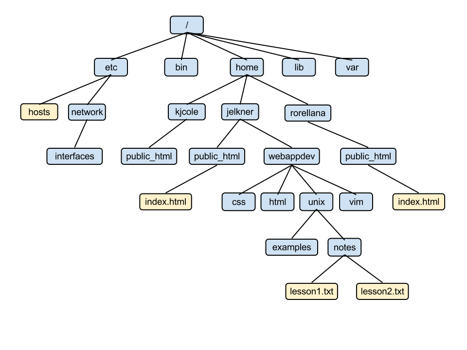 Directory Tree