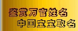 煤业公司廉政建设“12351”迎检汇报材料范文