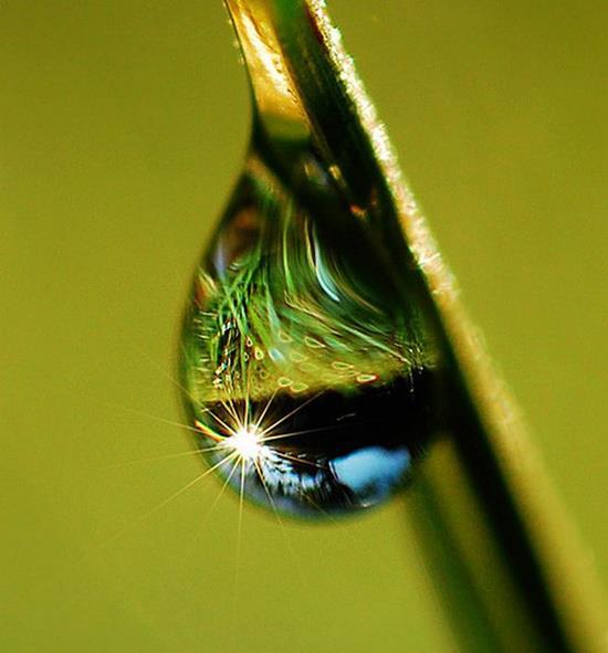 Dewdrop