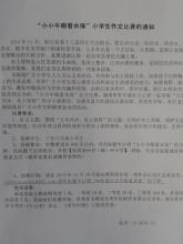 小学生网上抄作文检讨书范文