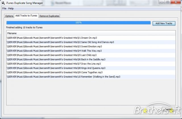 iTunes Duplicate Song Manager
