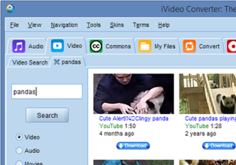 iVideo Converter