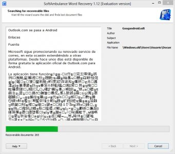 SoftAmbulance Word Recovery